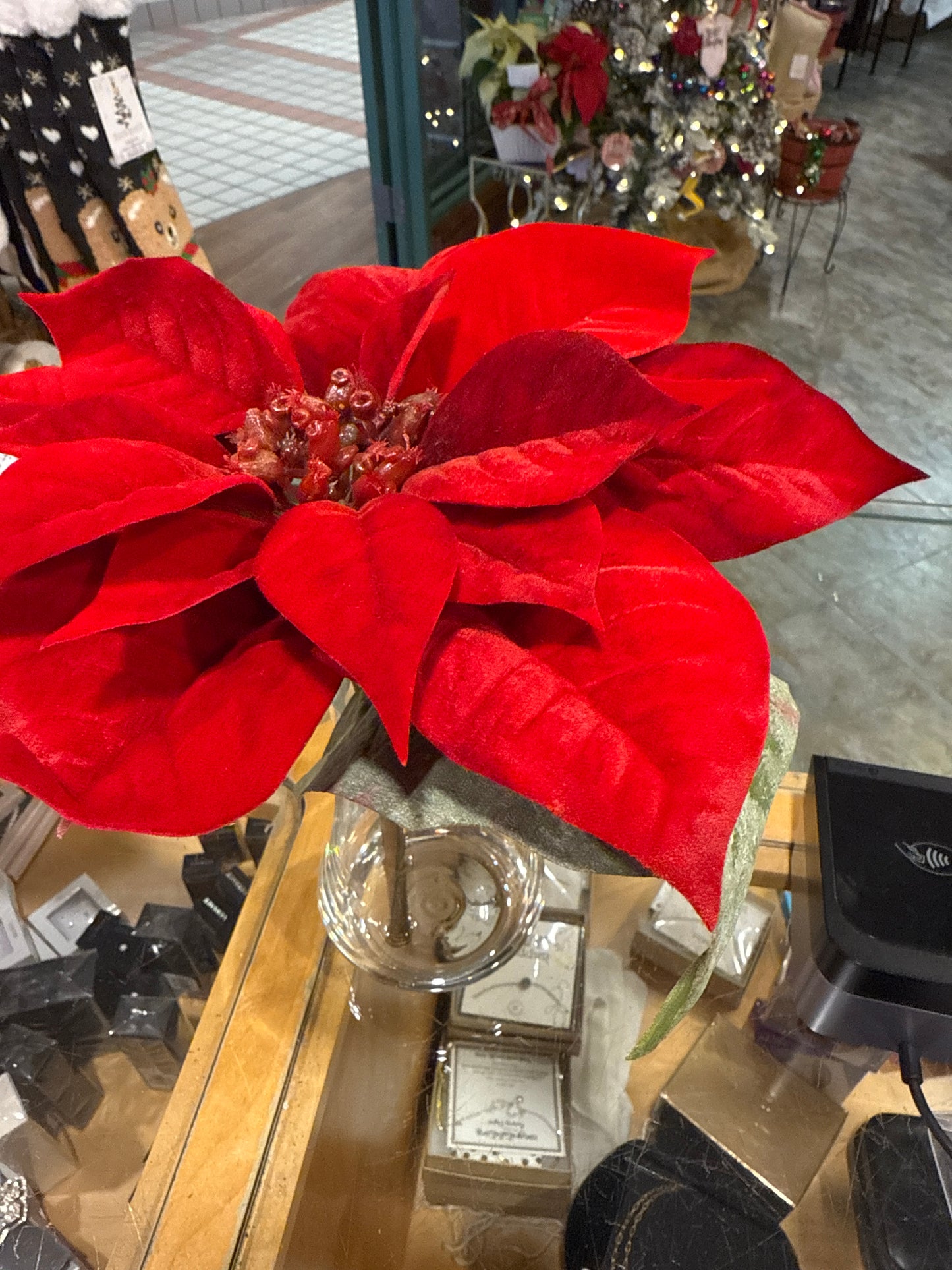 10" red Poinsettia in vase w/ faux water