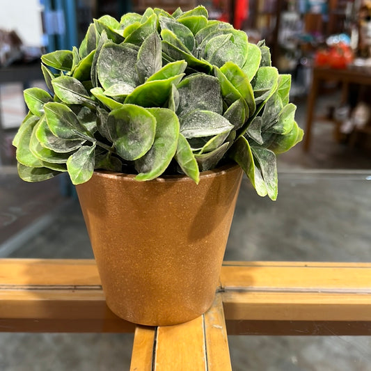 6.5” Artificial Plant Terracotta Pot