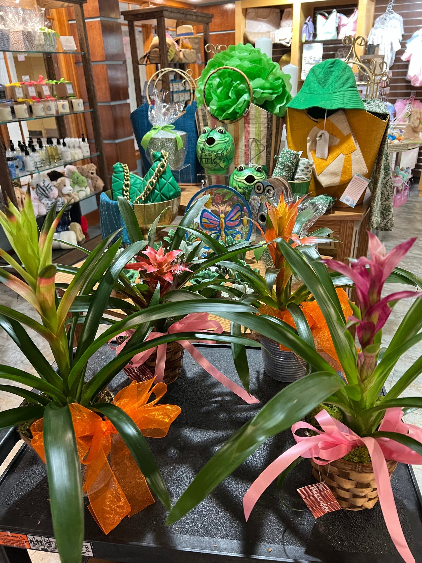 Plant-4” Bromeliad in Basket