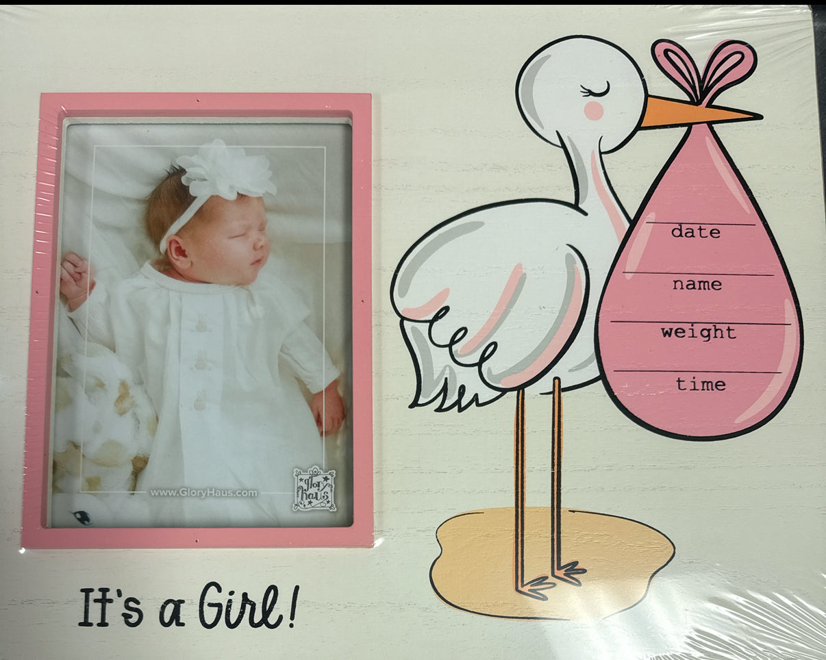 Stork It's A Girl Frame